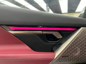 bmw 5 series g60 rear door crystal ambient light